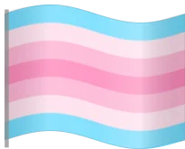 transfem, flag